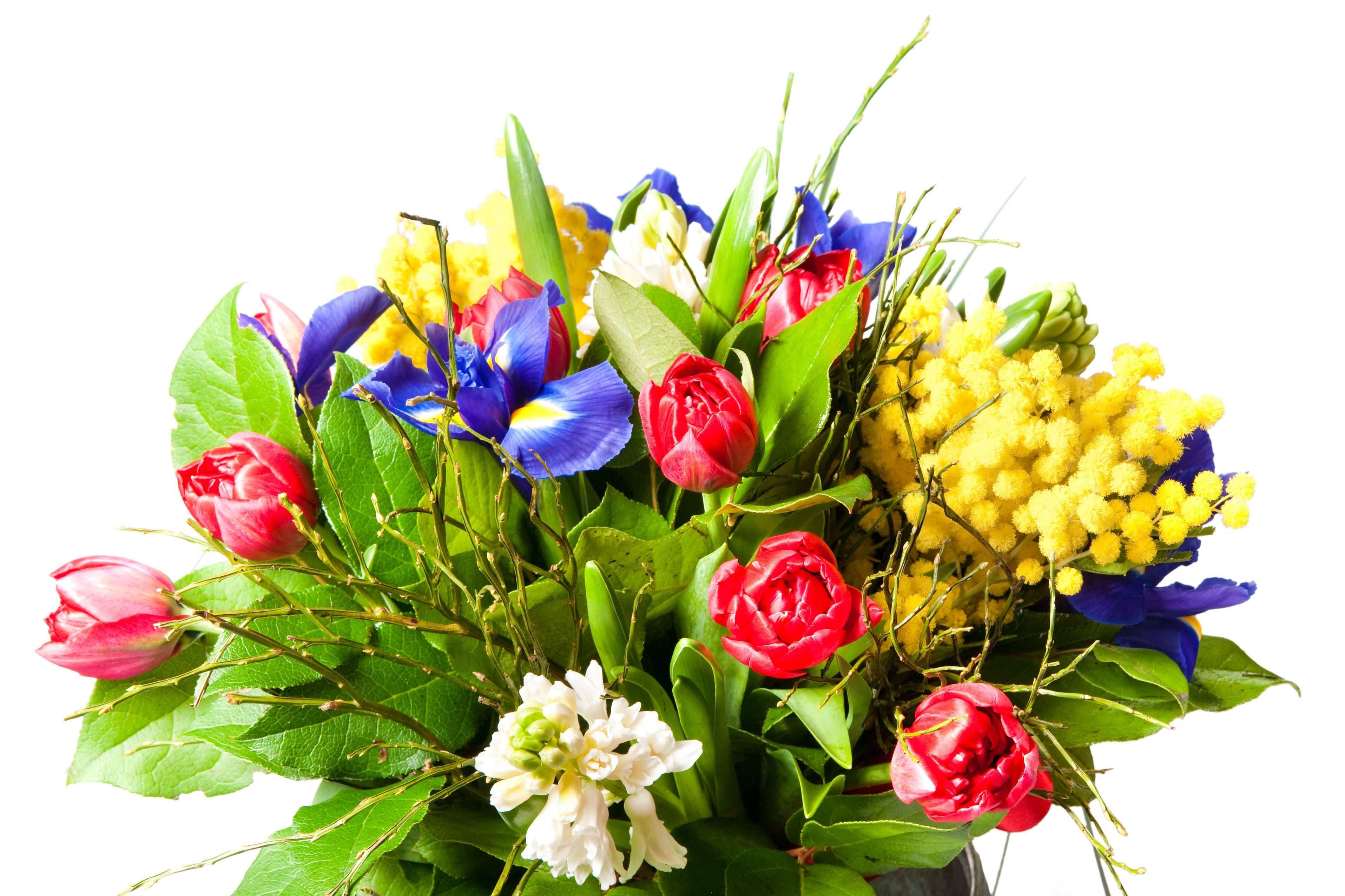 Tips for Picking the Best Florist in Ankeny