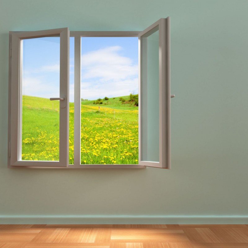 Considering Different Options for New Home Windows in Arlington