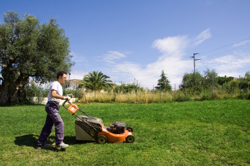 Why Hiring Landscape Architects in Austin Makes Sense