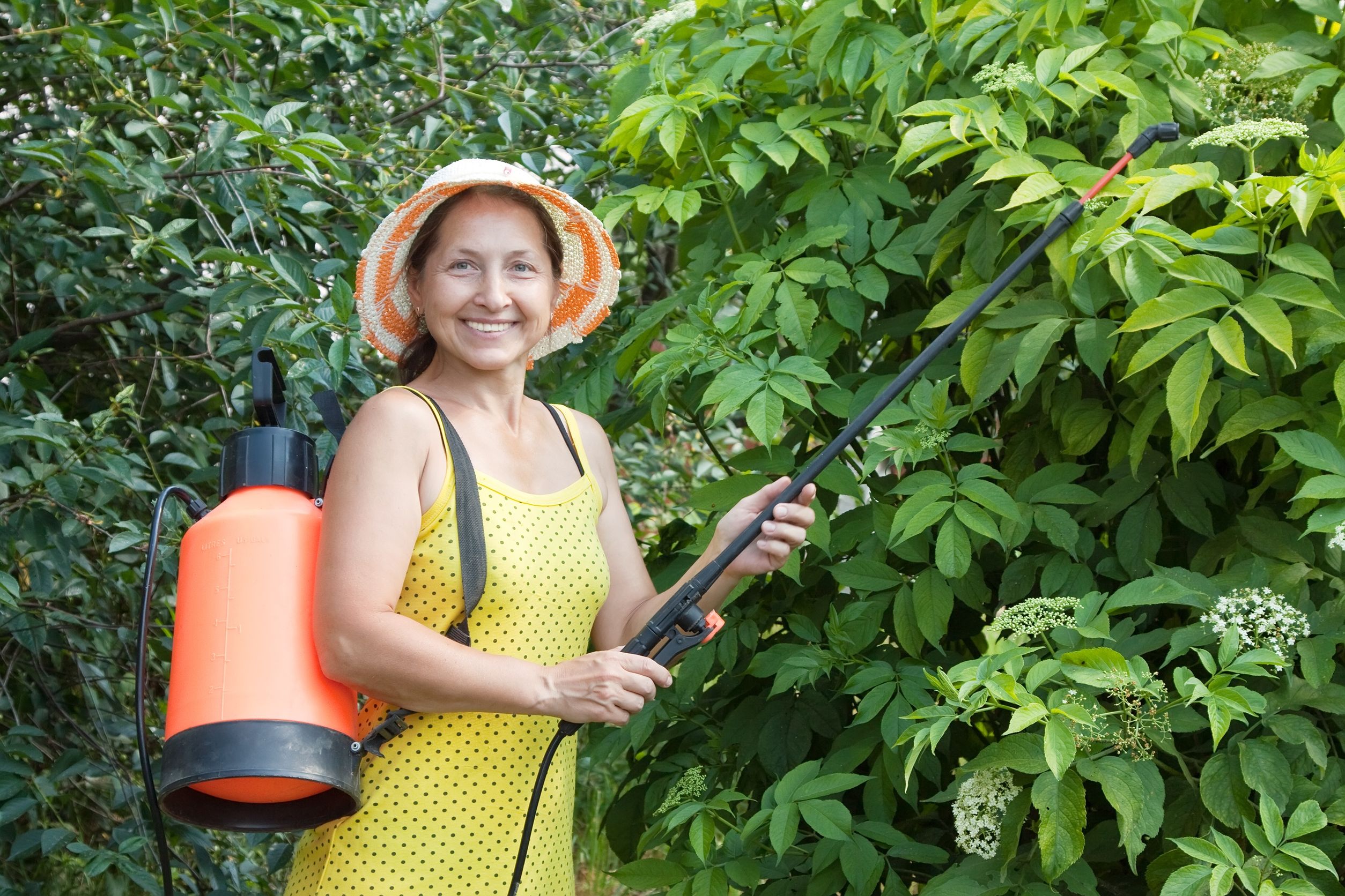 Finding the Right Expert for Weed Control service in Sacramento CA