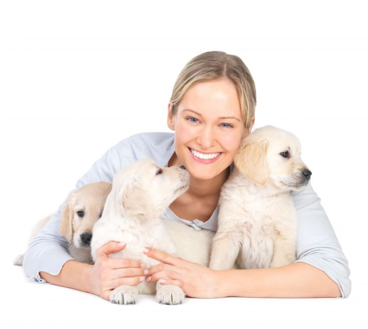 Keep Your Pet Clean and Healthy: Dog Grooming in Bowie