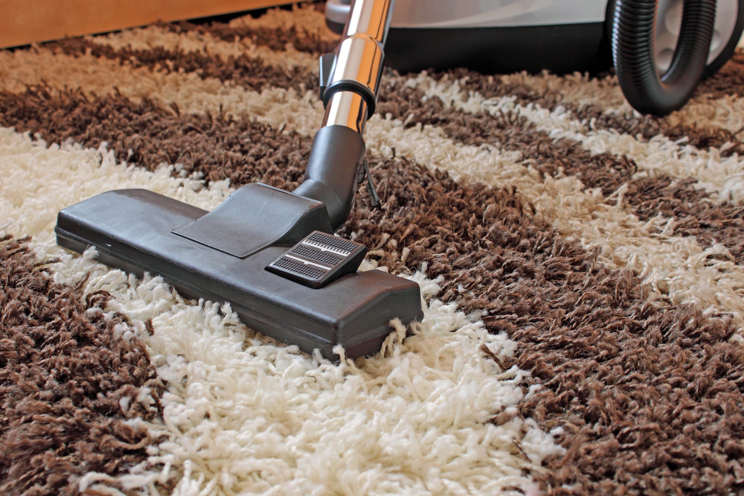 Situations That Call for Professional Carpet Cleaning Services in Waldorf