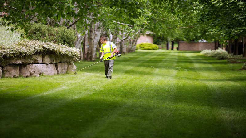 A Professional Lawn Mowing Service: How To Have A Well-Kept Lawn