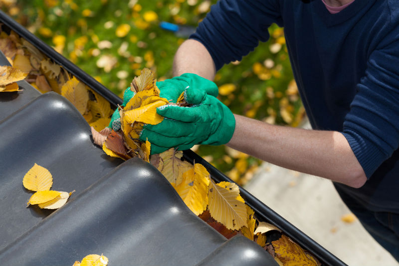 Avoiding Health Hazards: Why Homeowners Should Arrange for Professional Gutter Cleaning in Pasadena