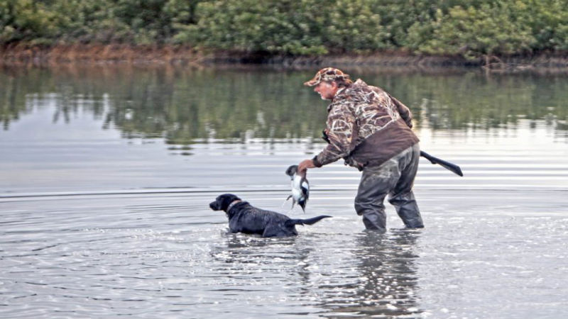 Texas Duck Hunting: A Unique Way to Team Build in a Corporation