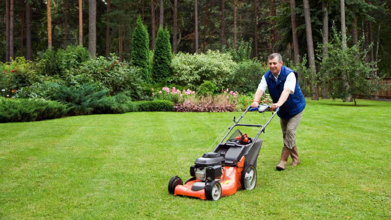 Why You Need Lawn and Garden Maintenance in Carmel, IN