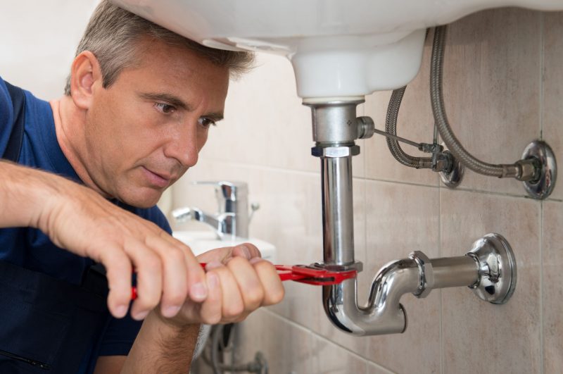 Plumbing Contractors in Azle TX Help Property Owners Deal With Root Growth in Sewer Pipes