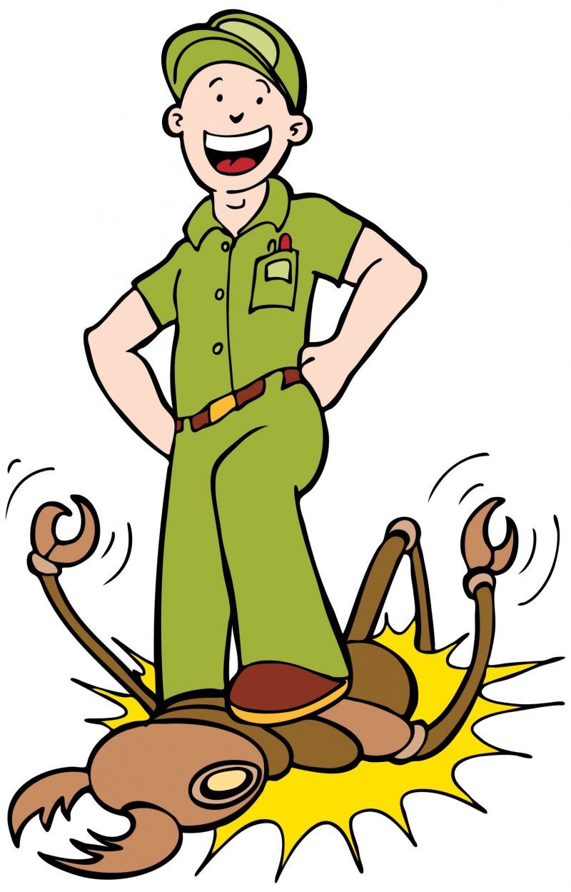 How does Your Elk Grove Exterminator Improve Your Quality of Life?