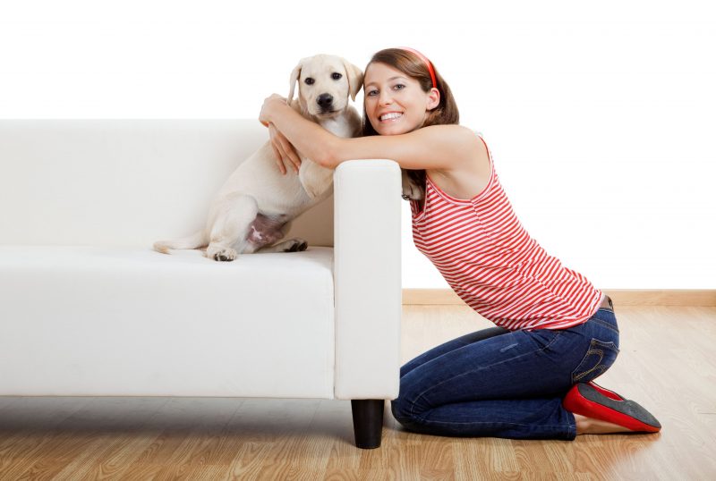 What to Consider Before Hiring A Pet Care Provider