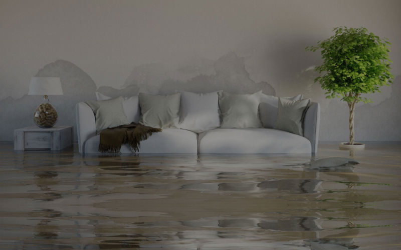 Steps to Take for Water Damage Repair in Nassau County, NY
