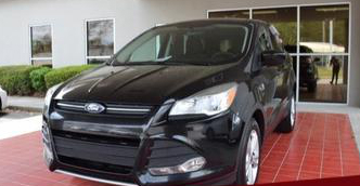 Interested in a Ford SUV, Buy Them in Shorewood IL
